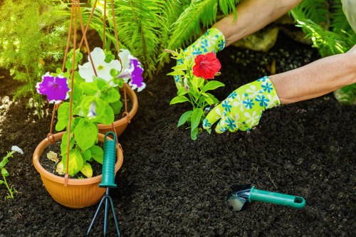 Professional garden waste removal and tidy outdoor space in Elm Park