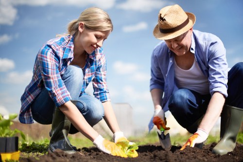 Gardeners Elm Park introduction with outdoor care and landscape maintenance