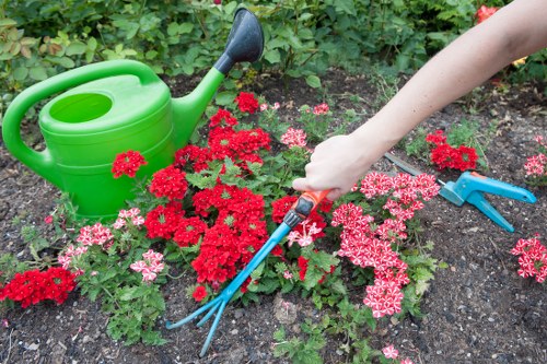 Professional hedge maintenance shaping a boundary hedge