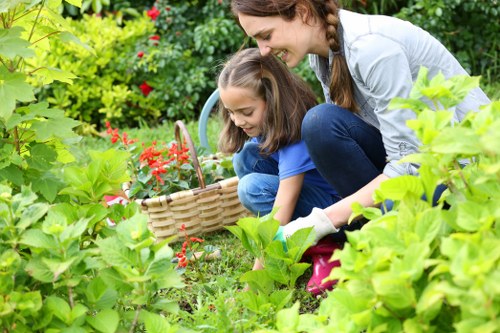 Gardeners Elm Park creating balanced, well-maintained garden spaces