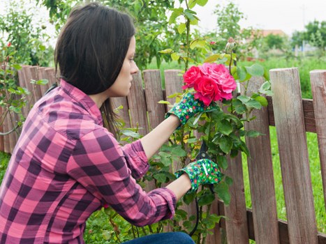 Example of load-based garden clearance pricing in Elm Park