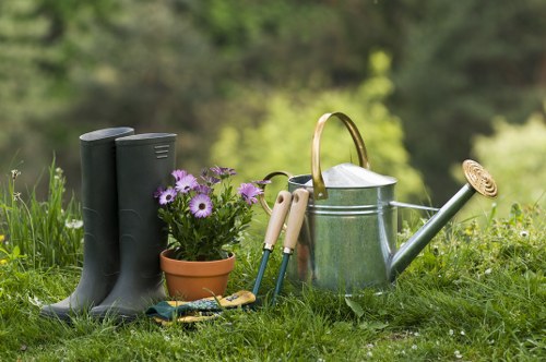 About Us Gardeners Elm Park with responsible and thoughtful outdoor care