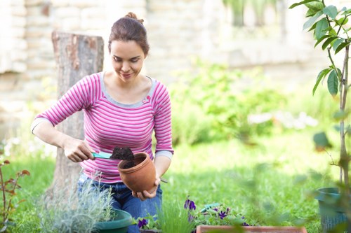Regular lawn mowing in Elm Park during the growing season