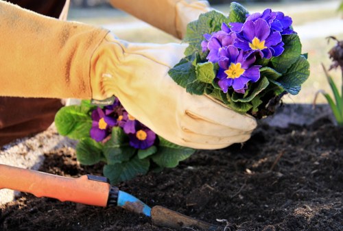 Elm Park landscaping and garden upkeep support