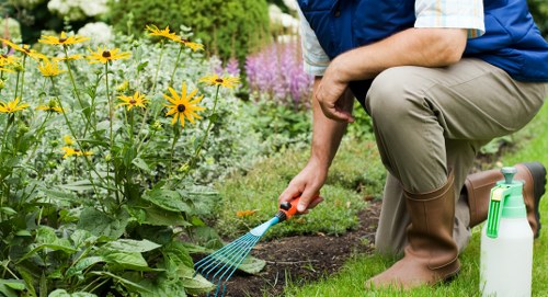Clean and usable Elm Park garden space after clearance