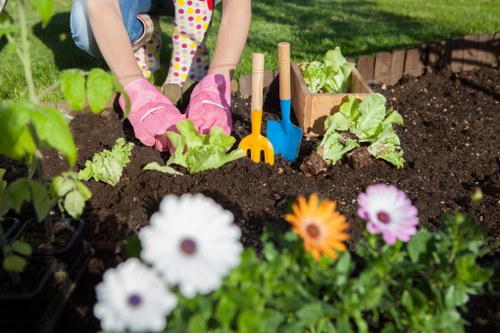 Professional gardening services for Elm Park homes