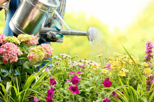 Elm Park outdoor space featuring hard landscaping and decorative garden borders
