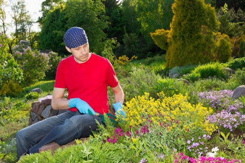 Accessibility-focused online experience for Gardeners Elm Park