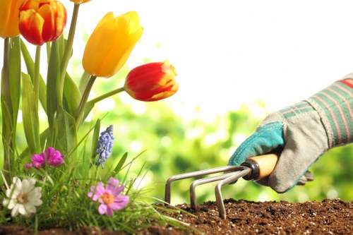 Local garden maintenance and lawn care in Elm Park