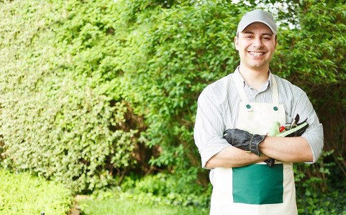 Seasonal garden maintenance tasks in Elm Park for healthy outdoor spaces