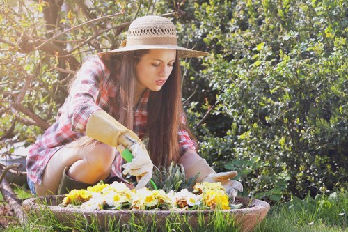 Elm Park lawn care service improving grass health and curb appeal