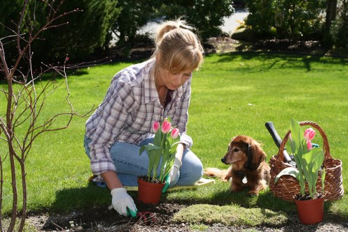 Graphic for accessibility improvements in Elm Park garden services