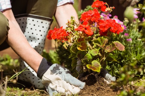 Elm Park garden clearance service clearing clutter and green waste