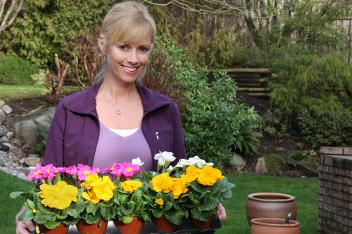 Low-carbon van used for sustainable gardening collections