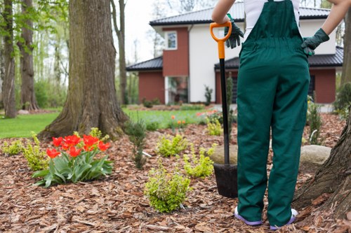 Professional gardeners in Elm Park improving garden structure and balance