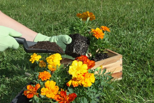 Staff training and safe gardening practices for Elm Park gardeners