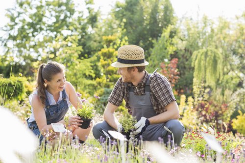 Seasonal lawn maintenance in Elm Park with fertilization and mowing