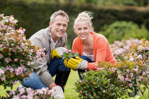 Local hedge cutting service improving garden kerb appeal