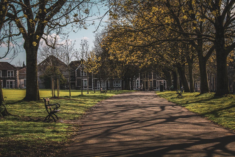 A tree-lined pathway in a park with lush green grass on either side, casting long shadows on the paved surface due to the late afternoon sunlight. Mature trees with thick trunks and branches, some wit