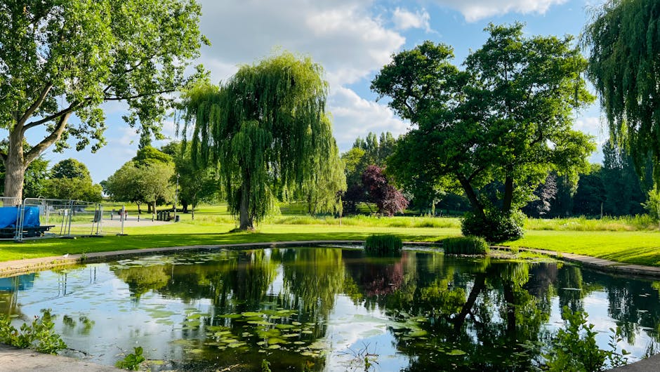 A tree-lined pathway in a park with lush green grass on either side, casting long shadows on the paved surface due to the late afternoon sunlight. Mature trees with thick trunks and branches, some wit